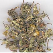 Pu Gong Ying, Dandelion Herb, 500 Grams